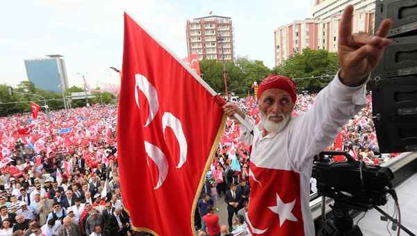 Turkish nationalist organization Gray wolves , wave their flags during a rally by Turkey's opposition Nationalist Action Party, MHP in Ankara, Turkey, May 24, 2015 - Sputnik International