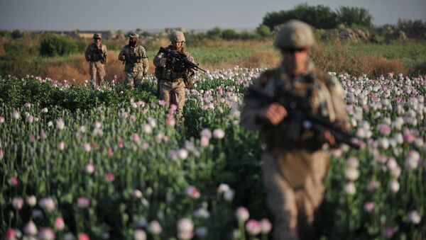 US Marines and Gunnary Sergeant Nate Cosby (R), Staff Sergeant Josh Lacey (2nd R) and Navy Hospitalman 2 Daniel Holmberg (L) from Border Adviser Team (BAT) and Explosive Ordance Disposal (EOD) 1st and 2nd Marine Division (Forward) walk through opium poppy field at Maranjan village in Helmand province on April 25, 2011 as they take patrol with their team and Afghanistan National Police. - Sputnik International
