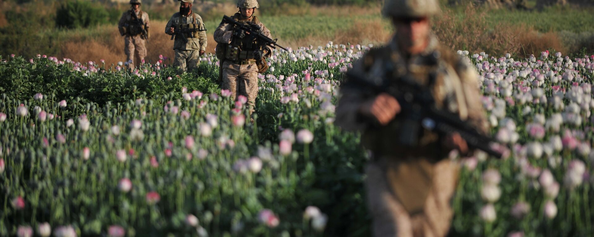 US Marines and Gunnary Sergeant Nate Cosby (R), Staff Sergeant Josh Lacey (2nd R) and Navy Hospitalman 2 Daniel Holmberg (L) from Border Adviser Team (BAT) and Explosive Ordance Disposal (EOD) 1st and 2nd Marine Division (Forward) walk through opium poppy field at Maranjan village in Helmand province on April 25, 2011 as they take patrol with their team and Afghanistan National Police. - Sputnik International, 1920, 24.08.2020