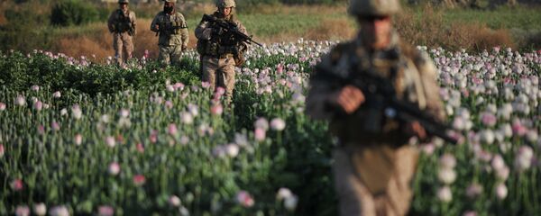 US Marines and Gunnary Sergeant Nate Cosby (R), Staff Sergeant Josh Lacey (2nd R) and Navy Hospitalman 2 Daniel Holmberg (L) from Border Adviser Team (BAT) and Explosive Ordance Disposal (EOD) 1st and 2nd Marine Division (Forward) walk through opium poppy field at Maranjan village in Helmand province on April 25, 2011 as they take patrol with their team and Afghanistan National Police. - Sputnik International