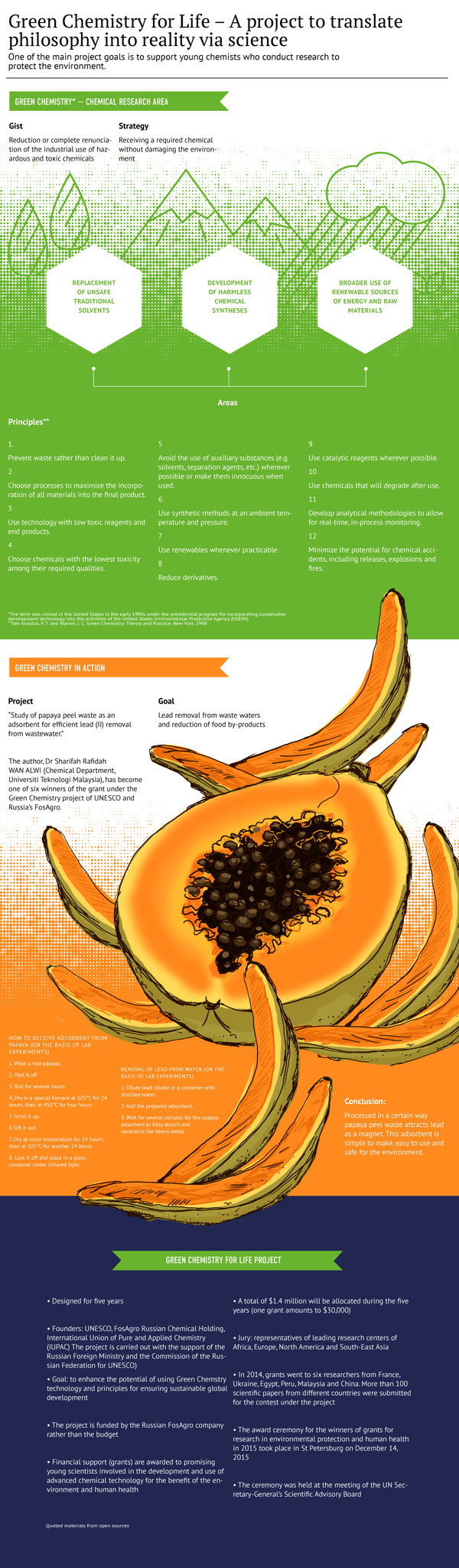 Green chemistry for life - Sputnik International