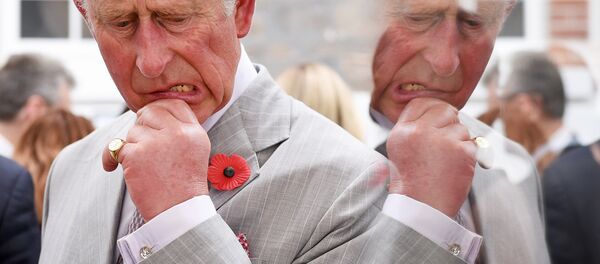 Britain's Prince Charles Britain's Prince Charles - Sputnik International