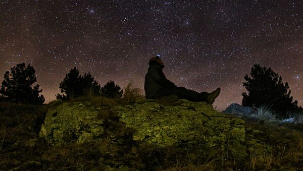 Фотограф смотрит на звездное небо в ожидании метеоритного дождя - Sputnik International