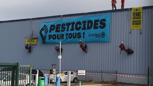Greenpeace protestor hang protest banners reading 'Leclerc, Pesticides, It's Offered!', 'Pesticides for all!' and 'Earth contaminated, agriculture in danger' from a Leclerc supply depot in Tournefeuille, near Toulouse, on October 27, 2015 - Sputnik International