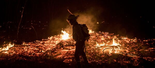 A firefighters tries to extinguish flames A firefighters tries to extinguish flames - Sputnik International