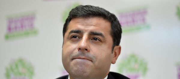 Co-chair of the pro-Kurdish People's Democratic Party (HDP) Selahattin Demirtas. Co-chair of the pro-Kurdish People's Democratic Party (HDP) Selahattin Demirtas. - Sputnik International