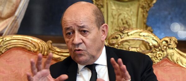 French Defence Minister Jean-Yves Le Drian French Defence Minister Jean-Yves Le Drian - Sputnik International