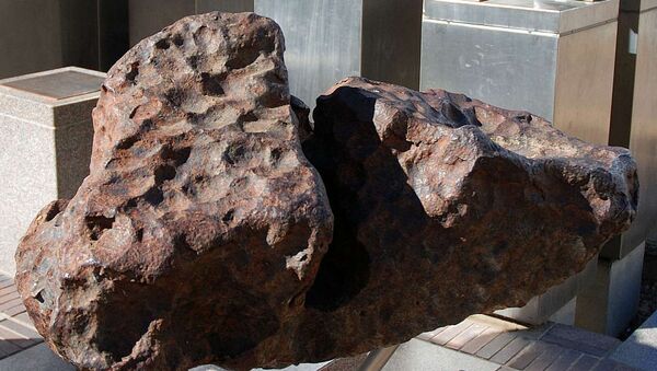 One of the Gibeon meteorites on permanent display in Post Street Mall, Windhoek. - Sputnik International