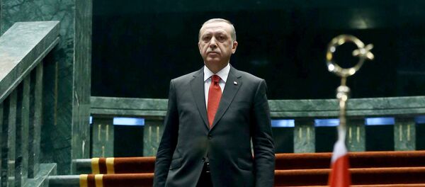 The President of Turkey Recep Tayyip Erdogan arrives to welcome the President of Afghanistan Ashraf Ghani (not seen) during an official ceremony at Presidential Complex in Ankara, on December 24, 2015 The President of Turkey Recep Tayyip Erdogan arrives to welcome the President of Afghanistan Ashraf Ghani (not seen) during an official ceremony at Presidential Complex in Ankara, on December 24, 2015 - Sputnik International
