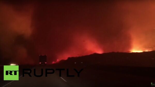Family drives through blazing California wildfire - Sputnik International