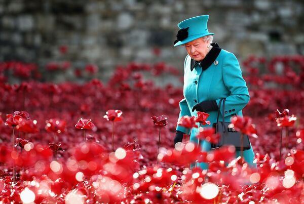 Britain's Queen Elizabeth II visits the Tower of London's 'Blood Swept Lands and Seas of Red' poppy installation in central London on October 16, 2014 Britain's Queen Elizabeth II visits the Tower of London's 'Blood Swept Lands and Seas of Red' poppy installation in central London on October 16, 2014 - Sputnik International