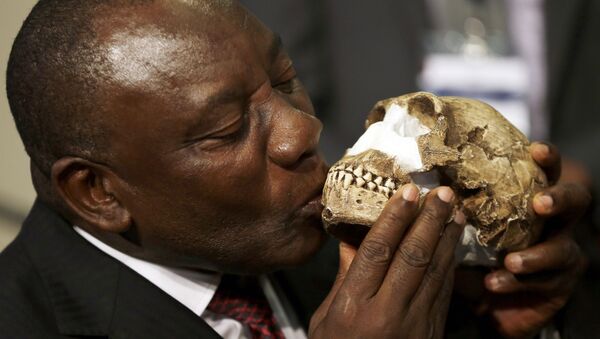 South Africa Deputy President Cyril Ramaphosa, kisses a reconstruction of Homo naledi's face during a news conference at Maropeng Cradle of Humankind World Heritage Site in Magaliesburg, South Africa, Thursday, Sept. 10, 2015 - Sputnik International