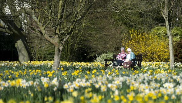 Two women chat on a bench in the Wilderness garden at the Hampton Court Palace in East Molesey, south west London - Sputnik International