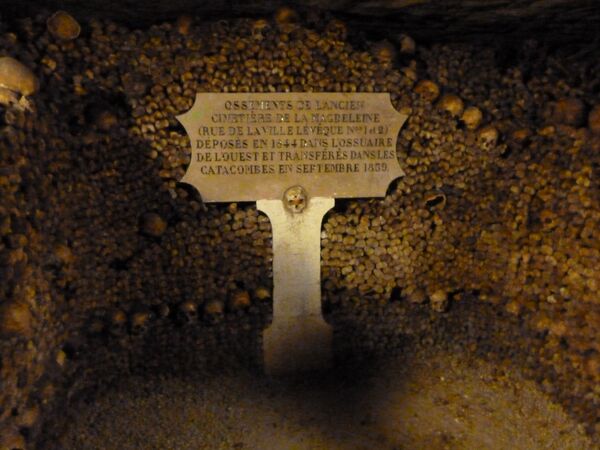 Paris Catacombs: The Dark and Enigmatic Underworld of the French Capital - Sputnik International