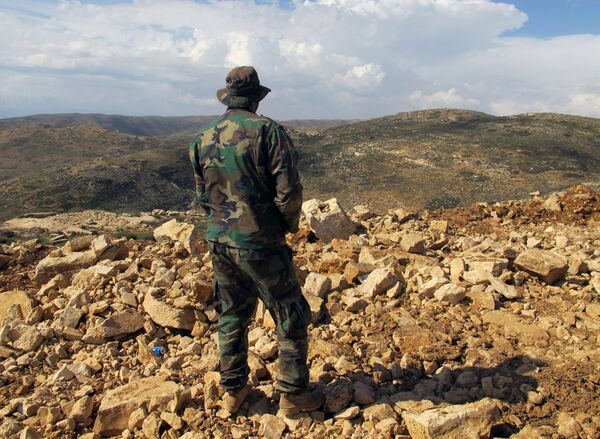 Hezbollah fighter looks toward Syria while standing in the fields of the Lebanese border village of Brital, Lebanon. (File) - Sputnik International