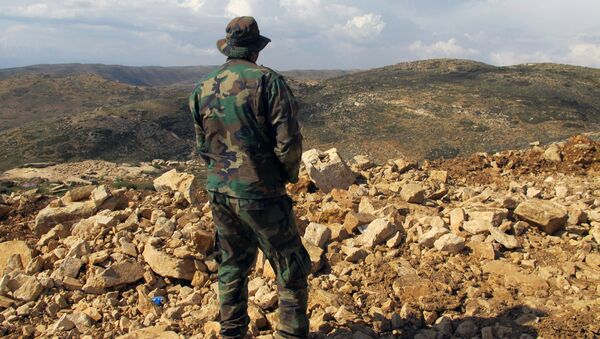 Hezbollah fighter looks toward Syria while standing in the fields of the Lebanese border village of Brital, Lebanon. (File) - Sputnik International