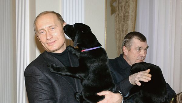 Vladimir Putin presenting puppies to Alexei Belevets and Katya - Sputnik International