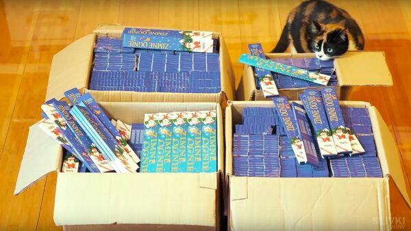 Lighting 10,000 sparklers simultaneously. - Sputnik International