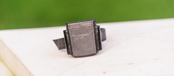 Electronic monitoring ankle bracelet Electronic monitoring ankle bracelet - Sputnik International