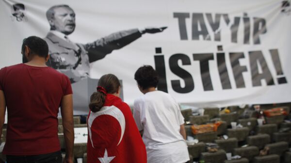 A young protester wearing a Turkish flag stands in front of a banner featuring Turkish Prime Minister Recep Tayyip Erdogan as Adolf Hitler in Gezi park near Taksim square in Istanbul, Friday, June 7, 2013 - Sputnik International