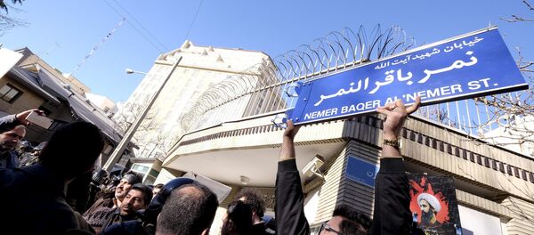 An Iranian protester holds up a street sign with the name of Shi'ite cleric Sheikh Nimr al-Nimr during a demonstration against the execution of Nimr in Saudi Arabia, outside the Saudi Arabian Embassy in Tehran January, 3, 2016 - Sputnik International