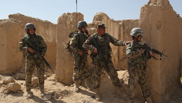 Afghanistan National Army (ANA) soldiers - Sputnik International