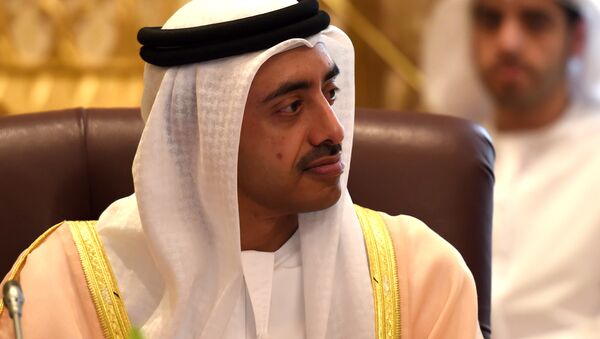 Emirati Foreign Minister Sheikh Abdullah bin Zayed al-Nahyan - Sputnik International