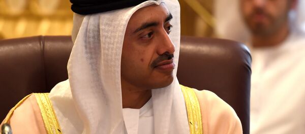 Emirati Foreign Minister Sheikh Abdullah bin Zayed al-Nahyan - Sputnik International