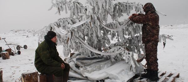 Donetsk soldiers decorate a tree with bullets near the contact line with the positions of the Ukrainian Armed Forces. - Sputnik International