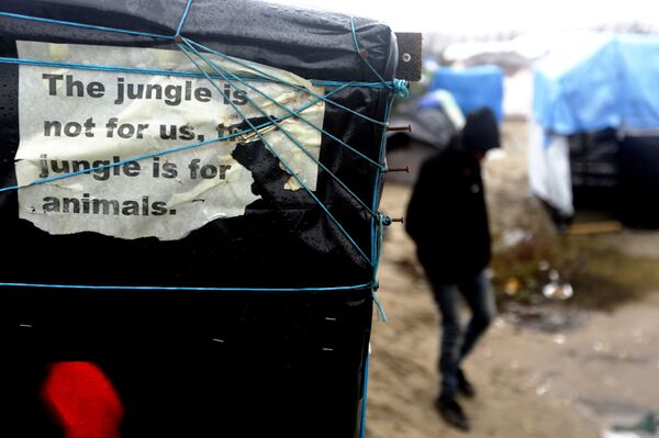 In this Friday, Nov. 6, 2015 file photo, a man walks beside a decomposing poster reading 'The jungle is not for us, the jungle is for animals' fixed by a Sudanese refugee at a tent, inside the migrants camp near Calais, northern France. - Sputnik International
