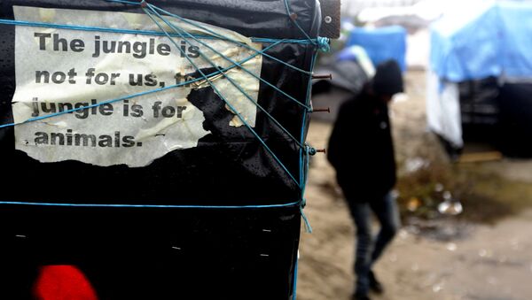 In this Friday, Nov. 6, 2015 file photo, a man walks beside a decomposing poster reading 'The jungle is not for us, the jungle is for animals' fixed by a Sudanese refugee at a tent, inside the migrants camp near Calais, northern France. - Sputnik International