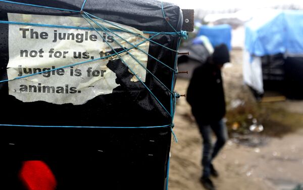 In this Friday, Nov. 6, 2015 file photo, a man walks beside a decomposing poster reading 'The jungle is not for us, the jungle is for animals' fixed by a Sudanese refugee at a tent, inside the migrants camp near Calais, northern France. - Sputnik International