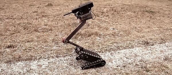 Lobaev Tactical Robot Minirex RS1A3 Lobaev Tactical Robot Minirex RS1A3 - Sputnik International