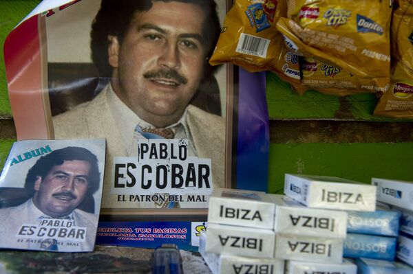 Escobar's Legacy: Colombian Scientists Urge to Stop Invasion of 'Cocaine Hippos', Reports Say - Sputnik International