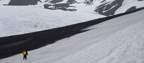 In this Jan. 24, 2015 photo, Peter Convey, an ecologist for the British Antarctic Survey, searches for samples on Deception Island, part of the South Shetland Islands archipelago in Antarctica - Sputnik International