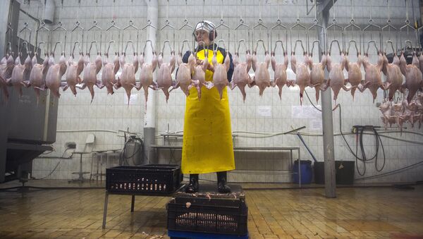 Birds butcher workshop at the poultry plant - Sputnik International
