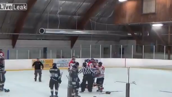 Hockey ref punches player then gets tackled by coach - Sputnik International