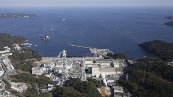 The Onagawa Nuclear Power Plant is seen at Onagawa, in northeast Japan - Sputnik International