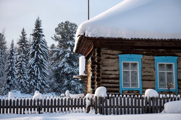 Frosty Snowscapes: Meet True Russian Winter in Siberia - Sputnik International