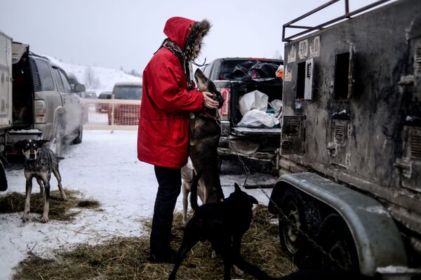 On the Land of Sampo: Dog Sled Racing Across Russia - Sputnik International