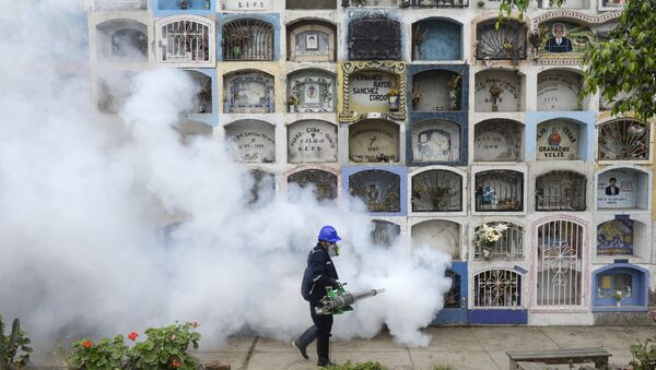 A specialist fumigates the Nueva Esperanza graveyard in the outskirts of Lima on January 15, 2016. Health officials fumigated the largest cementery in Peru and second largest in the world to prevent Chikunguya and Zika virus, which affect several South American countries - Sputnik International