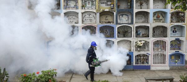 A specialist fumigates the Nueva Esperanza graveyard in the outskirts of Lima on January 15, 2016. Health officials fumigated the largest cementery in Peru and second largest in the world to prevent Chikunguya and Zika virus, which affect several South American countries A specialist fumigates the Nueva Esperanza graveyard in the outskirts of Lima on January 15, 2016. Health officials fumigated the largest cementery in Peru and second largest in the world to prevent Chikunguya and Zika virus, which affect several South American countries - Sputnik International