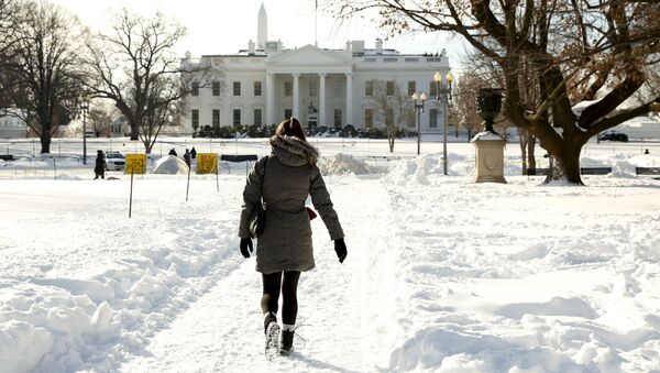 A woman walks a snowy path toward the White House in Washington January 25, 2016. The Washington area is digging out from the weekend blizzard - Sputnik International
