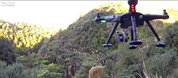 Drone shot down while filming Drone shot down while filming - Sputnik International