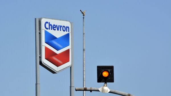 Chevron Sign and Bird on a pole - Sputnik International