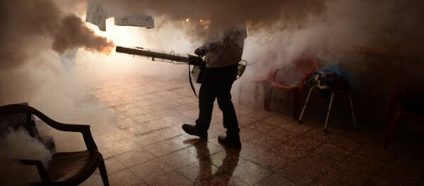 Health Ministry employee fumigates a home against the Aedes aegypti mosquito to prevent the spread of the Zika virus in Soyapango, six km east of San Salvador, on January 21, 2016 Health Ministry employee fumigates a home against the Aedes aegypti mosquito to prevent the spread of the Zika virus in Soyapango, six km east of San Salvador, on January 21, 2016 - Sputnik International