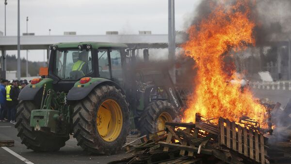 French livestock farmers gather near burning palettes to protest falling prices near at a toll booth on the autoroute in Ancenis, western France, January 27, 2016 - Sputnik International