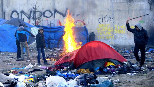 A migrant hits a former shelter with a stick in a dismantled area of the camp known as the Jungle, a squalid sprawling camp in Calais, northern France, January 17, 2016. - Sputnik International