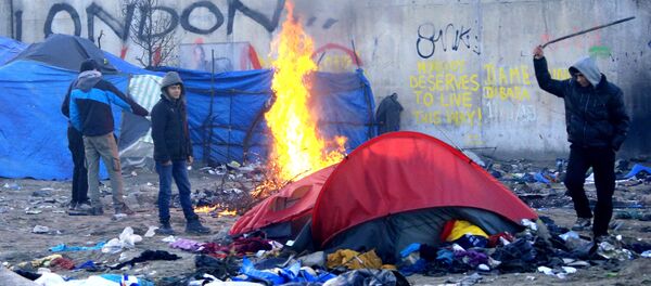 A migrant hits a former shelter with a stick in a dismantled area of the camp known as the Jungle, a squalid sprawling camp in Calais, northern France, January 17, 2016. A migrant hits a former shelter with a stick in a dismantled area of the camp known as the Jungle, a squalid sprawling camp in Calais, northern France, January 17, 2016. - Sputnik International