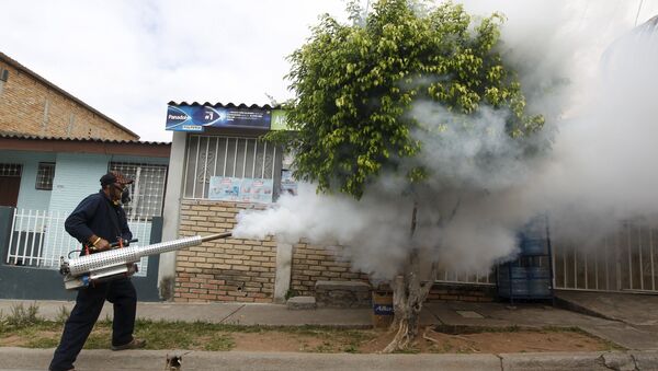 A municipal health worker carries out fumigation on a street as part of the city's efforts to prevent the spread of the Zika virus vector, the Aedes aegypti mosquito, in Tegucigalpa, Honduras, January 30, 2016 - Sputnik International
